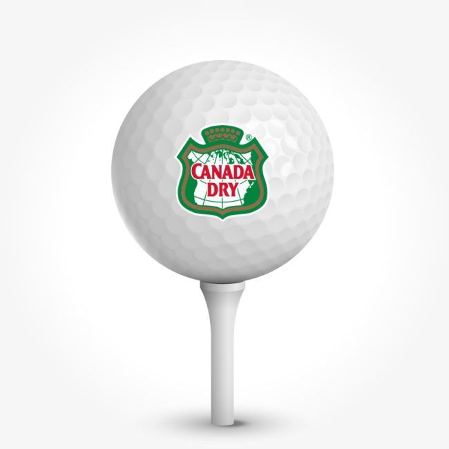 Canada Dry Brand & Packaging
