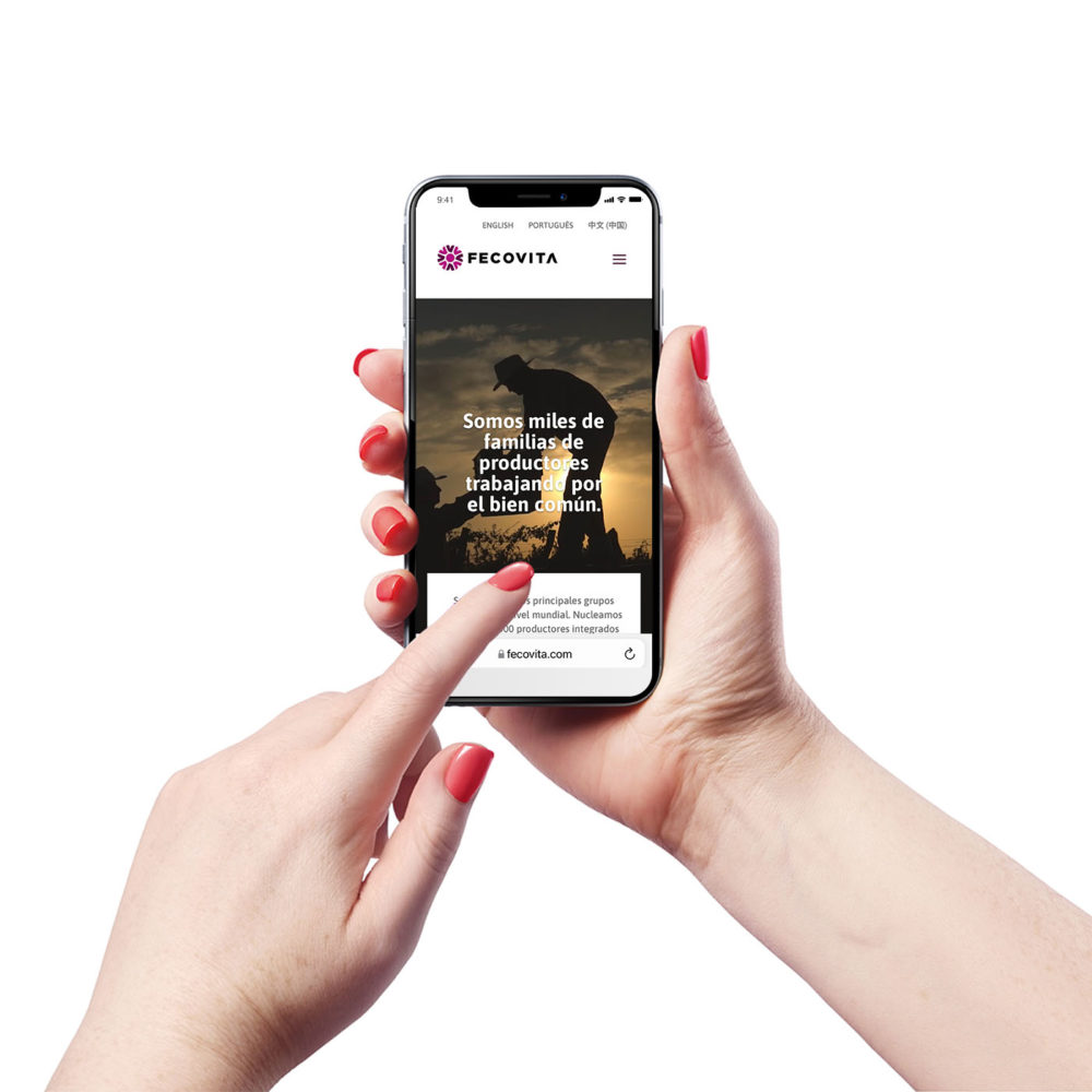 Diseño Web Fecovita